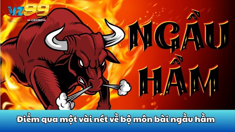 Điểm qua một vài nét về bộ môn bài ngầu hầm